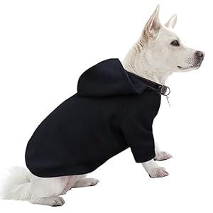 HuaLiSiJi Dog Hoodie – Warm & Lightweight, Soft Texture, Easy to Wear, Bright Colors (Large, Black) – Christmas Jumper for Chihuahua & Dogs