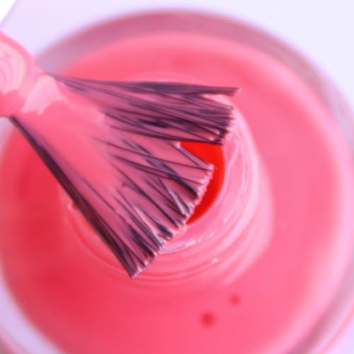 DeBelle Nail Polish Combo set of 2, Hot Pink (BeBe Kiss) and Maroon(Moulin Rouge),16 ml (8 ml each)