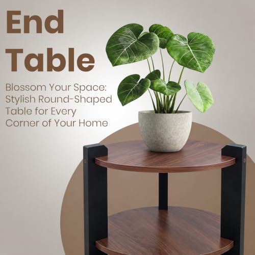 Image of Modern Round Side Table, Home Decor for Living Room, Bed Side Tables for Bed Room, stools for Home, Furniture for Home, 2-Tier White Shelves, 30 x 30 x 40 cm (Round Brown Top)