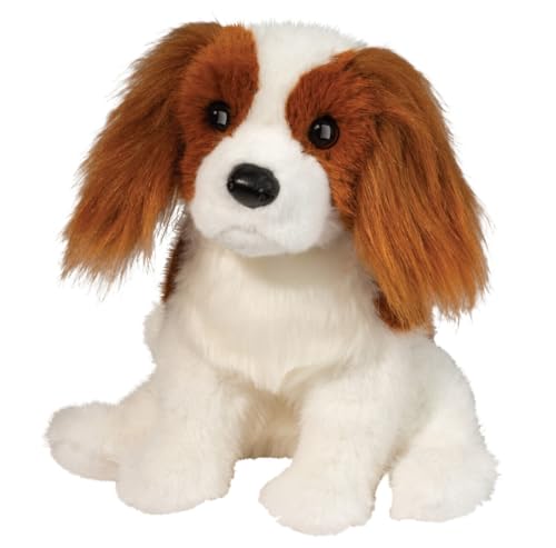 Douglas Kingsley Cavalier King Charles Spaniel 9