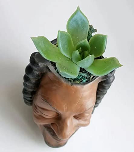 Hip Hop Funny Face Succulent Pot! Rap Music Character Head Flower Planter For Garden Decor Desktop! Rapper Face Pencil Pen Holder Christmas Birthday Gift! #TOP6