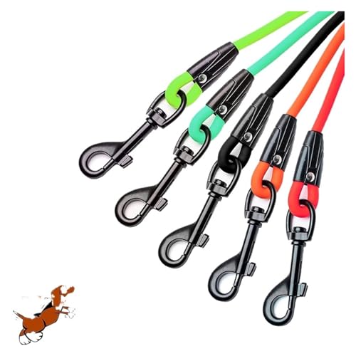 Dog Leash Details and Stitching