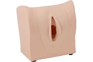 Family Planning Genital Anatomical Uterine Model