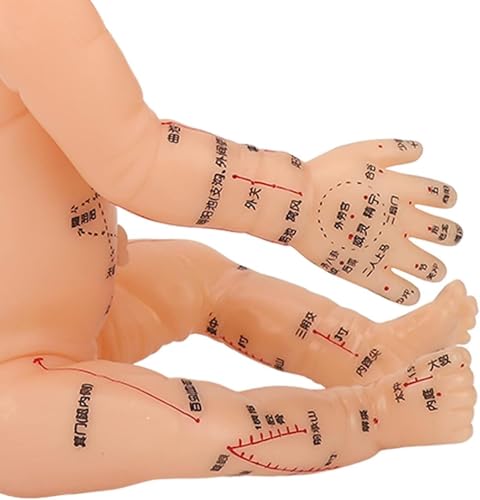 Female Acupuncture Model Babies Acupuncture Massage Model Chinese Medicine Body Meridian Teaching Training Doll with Acupoint Simulation Massage - Thumbnail 6