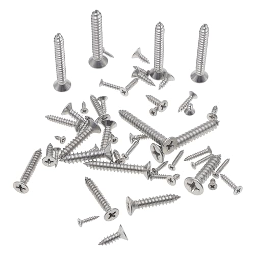 Kit tornillos autorroscantes Phillips acero inoxidable 600 uds miniatura 5