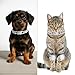 XLIUAX Cat Diamond Chain Collar, Glitter Cuban Collar with Secure Buckle 12 mm Wide Metal Dog Necklace Pet Jewelry Accessories for Cats Kittens Dogs Puppies 8 inch(Silver)