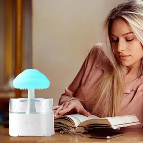 Rain Cloud humidificateur décoratif, cadeau idéal pour famille et amis