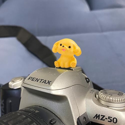 Image of Camera Hot Shoe Cover, Cute Cap and Protector Compatible With Sony Fujifilm Fuji Canon Nikon Pentax Leical Panasonic (2pcs Golden Retriever + Tactic)