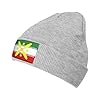 Melbrakin Derafsh Kaviani Flag of The Late Sassanid Empire Hat Winter Unisex Beanie Gray #1