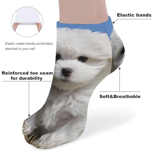 Bichon Frise Dog Socks No Show Socks Low Cut Anti-Slid Athletic Casual Invisible Liner Socks Unisex3
