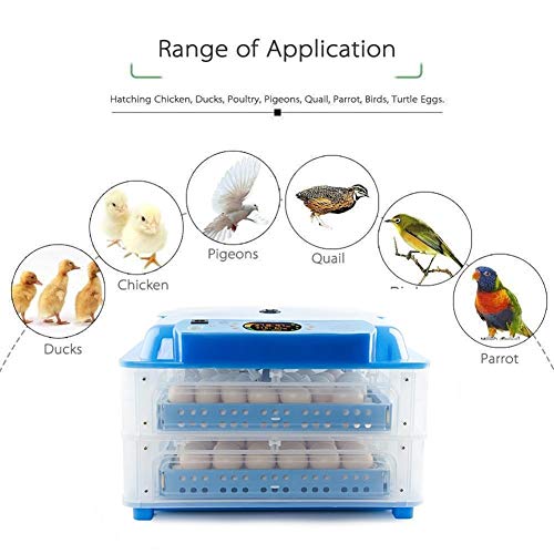 cvhtroe Egg Incubator 128 Digitale Eier Automatischer Geflügelschlüpfer Temperatur Luftfeuchtigkeit C Steuerung Hühner… – Bild 7