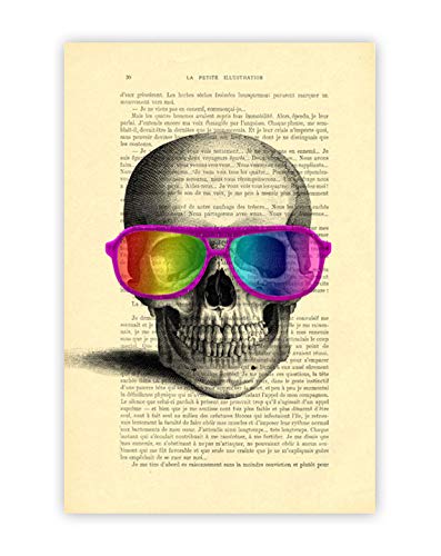 Svinca Vitek Kivi Sunglasses Dictionary Office Leader Com