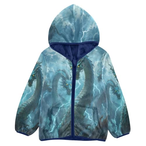 Dragons From Stormy Skies Toddler Fleece Jacket Girl Boys Hooded Fleece Jacket Coat Warm Outwear Zip-up 3-10T