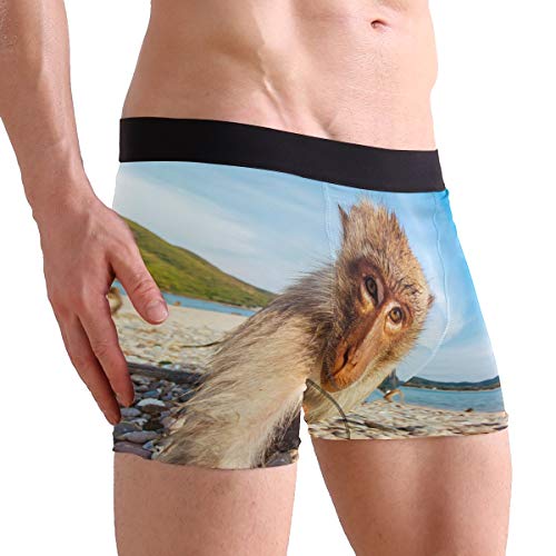 ZZKKO Giraffe Cat Mens Boxer Briefs Underwear Breathable Stretch Boxer Trunk with Pouch S-XXL3