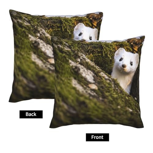 Housse de coussin belette EdWal lot de 2 pour canapé