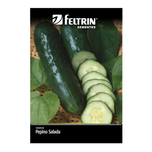 Kit 4 Sementes Legumes Horta Em Casa Jardins Vasos (Tomate, Pepino,Feijão e Pepino conserva)