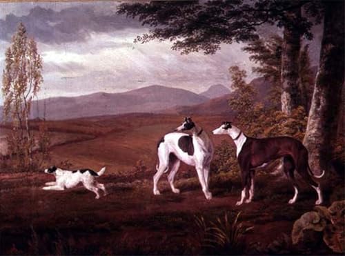 Tableaux Toile Lévriers dans un paysage George Garrard 60x90cm
