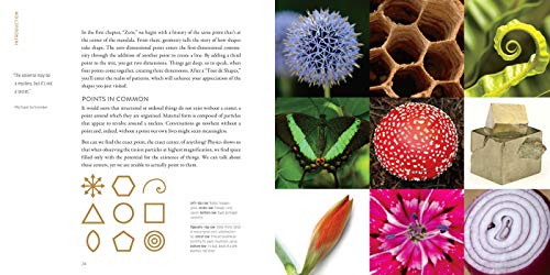 The Mandala Book: Patterns of the Universe