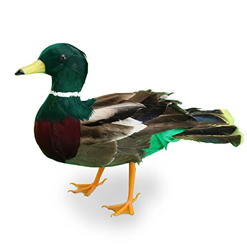 Amazon.com: Factory Direct Craft Standing Feathered Artificial