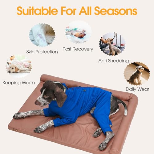 Image of Recovery Suit for Large Dogs, Adjustable Dog Onesie, Blue, XL
