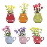 Cute Plant Fridge Magnets Funny Mini Plant Magnets for Fridge, Simulation Ceramic Flower Vase 3D Refrigerator Magnet Set 6 Pack,Decoration for Home, Kitchen, Office, School, Locker, Whiteboard