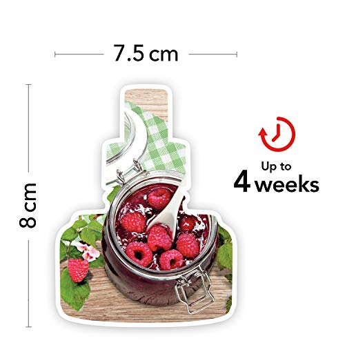 Yankee Candle ScentPlug Nachfüllpackungen | Red Raspberry Duftöl für Raumduftstecker | bis zu 60 Tage Duft | 2 Stück