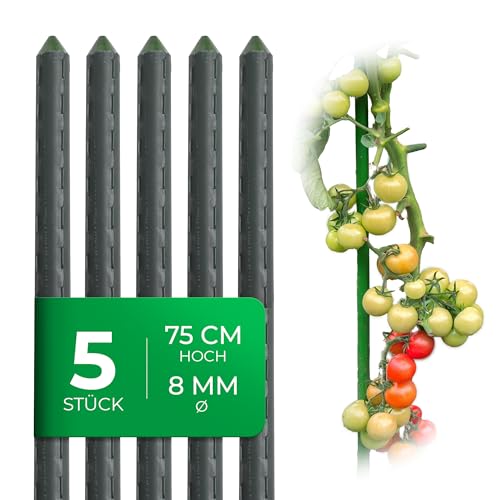 Novatool 5 Stück kleine Pflanzstäbe 75cm grün 8mm stabil Metallrohr kunststoffummantelt Rankstäbe für Pflanzen Rankhilfe Gurken Tomatenstäbe für Kletterpflanzen Rankstab Pflanzstab 75 cm