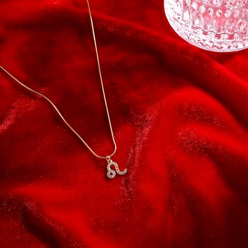 Image of SALTY Anti Tarnish Zodiac Sign Pendant Necklace for Women Men | Stylish Locket Neck Chain | Fashion Jewellery Accessories for Girls Boys | Minimal Jewelry | Ideal for Gifting | Gift for Diwali, Christmas, Marriage, Birthday