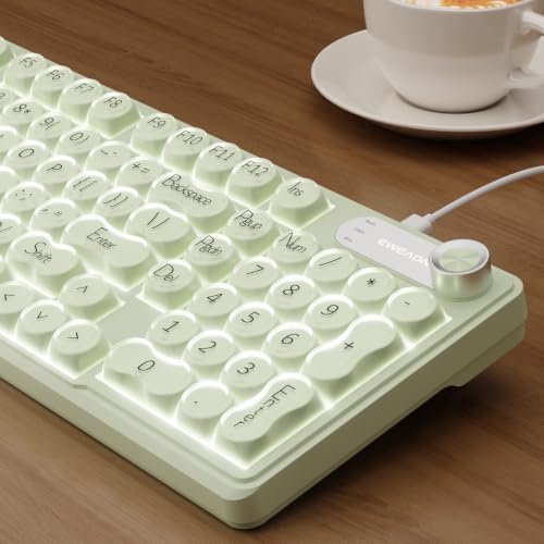 EWEADN �L���N���[�~�[�L�[�{�[�h �i���o�[�p�b�h�t�� ���f�B�A�m�u RGB�o�b�N���C�g-�O���[�� | EWEADN V102 98�L�[ �É� �R���s���[�^�[�L�[�{�[�h �W�F���[�L�[�L���b�v �f�B�X�v���C�X�N���[�� 2�i�K�t�B�[�g ���킢�� Windo