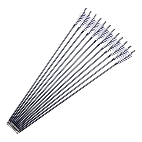 Mandarin Duck Carbon Arrow w Replaceable Points for Recurve & Long Bow (Pack of 12) (500 Spine) Cover