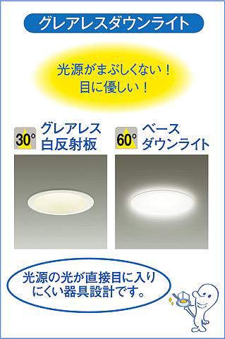 Amazon.co.jp: 大光電機（DAIKO） ダウンライト(軒下兼用) LED