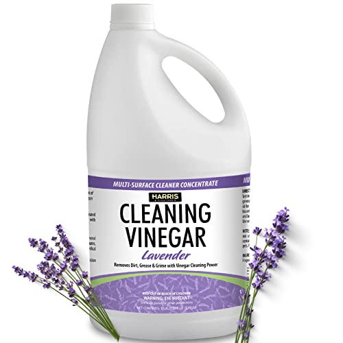 Can I Use Vinegar in My Shark Steam Mop 3 Steps You Should Know