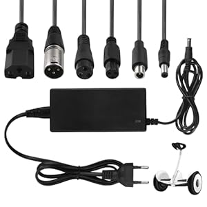 YANGUN Oplader voor scooter, hoverb...