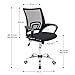 CashOffice - Silla de Escritorio Ergonómica, Silla de Oficina Giratoria con Respaldo...