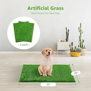 Artificial-Dog-Grass-Pee-Pad-2-Pack-Indoor-Potty-Training-Replacement-Grass-Turf-for-Puppy-Grass-Patch-for-Dogs-Easy-to-Clean-Strong-Permeability-20x25-Hemmed-Edge-Grass - Cucciolini Doodles   Artificial-Dog-Grass-Pee-Pad-2-Pack-Indoor-Potty-Training-Replacement-Grass-Turf-for-Puppy-Grass-Patch-for-Dogs-Easy-to-Clean-Strong-Permeability-20x25-Hemmed-Edge-Grass