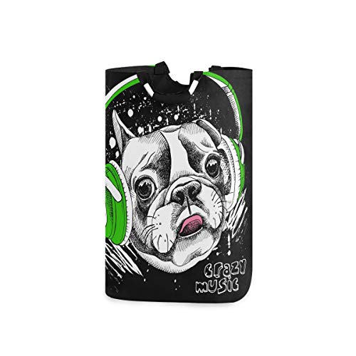 Wäschekorb,Eine französische Bulldogge, die grünen Kopfhörer schwarzen Hintergrund