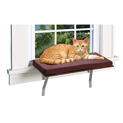 Pet Store Cat Window Perch