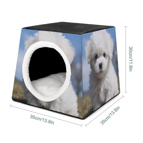 Nichoir confortable pour animaux et chat d'intérieur capsule d'espace - 3