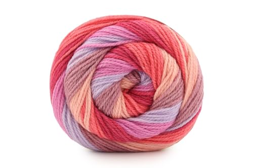 Caron Tortas de Canela Swirl 227g Hibiscus
