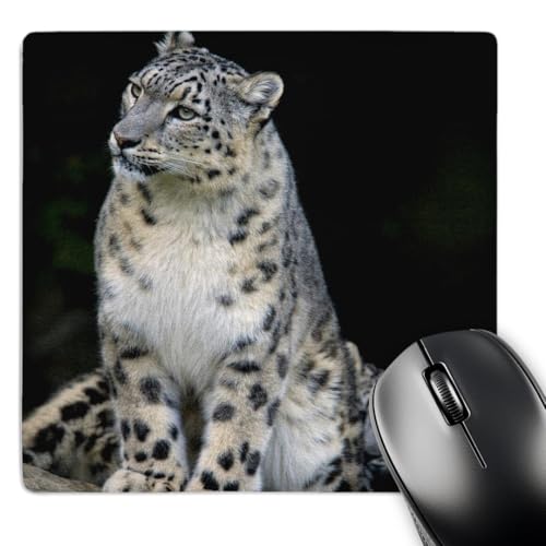 3dRose LLC 8 x 8 x 0.25 Inches Snow Leopard, Panthera Uncia, Asia Andres Morya Hinojosa Mouse Pad (mp_132849_1)