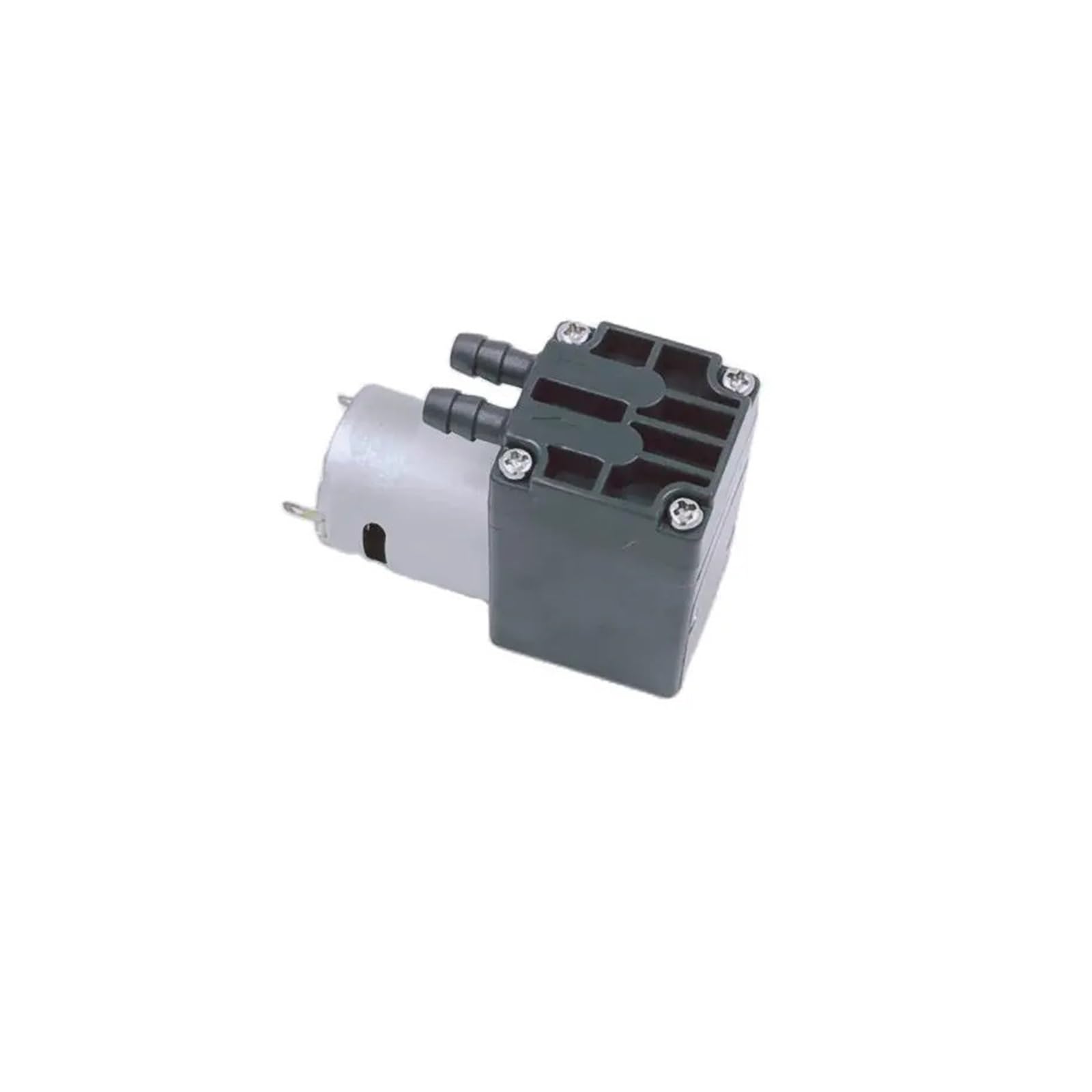 Pompe à eau électrique DC 12V, 24V à film de brosse 200 ml/min(12V)