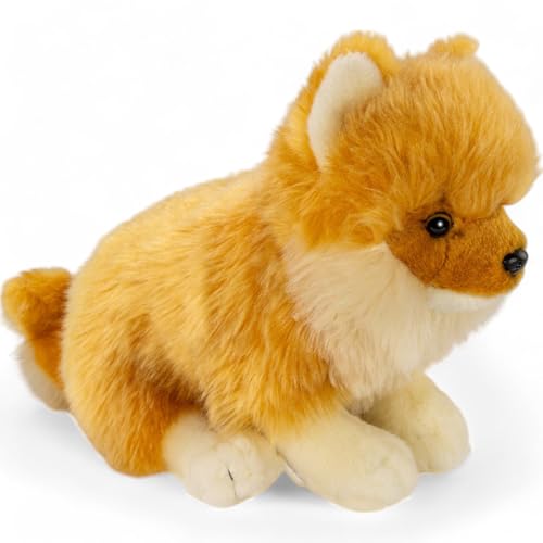Carl Dick Zwergspitz, Pomeranian Hund sitzend, Hund, Plüschtier, Kuscheltier, ca. 25cm 3557