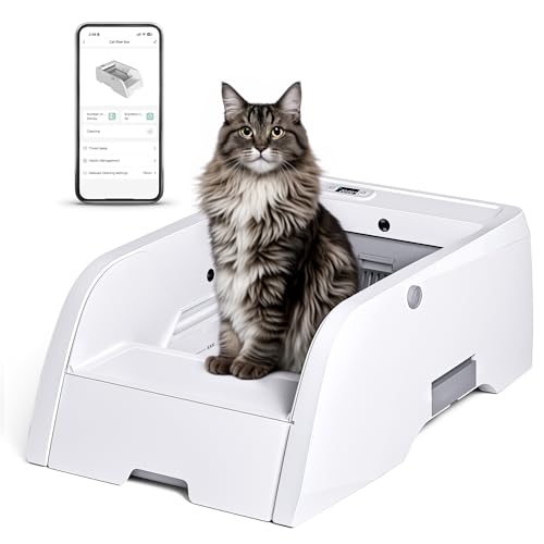 Large cat litter boxes