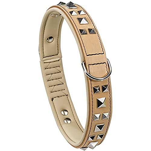 Ferplast Collare per Cani GIOTTO LUXOR C25/44, in Vera Pelle con Borchie Argentate