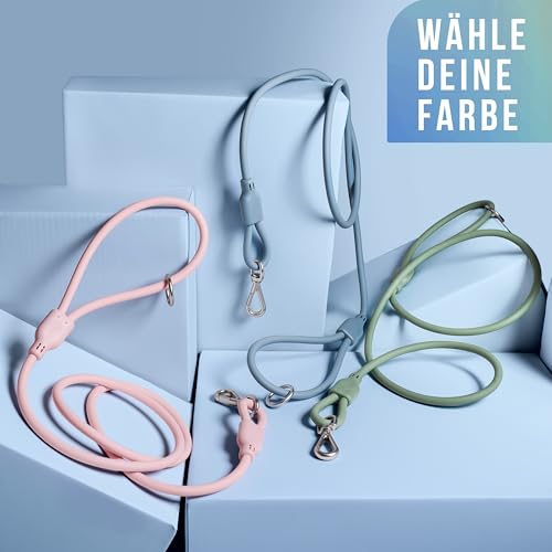 ne&no® Hundeleine 1,5 m Loft Design | Schmutz- & Wasserfest | Führleine für Hunde | Leine Hund | Dog Leash | Blau