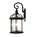ETOPLIGHTING Contemporary Collection Exterior Outdoor Wall Lantern with Beveled Clear Glass APL1020