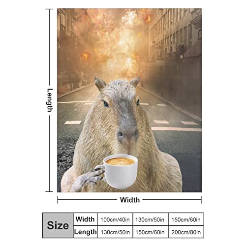Capybara Blanket Gifts, 40"*50" Flannel Throw Blanket, Soft Warm Fuzzy Fluffy Plush Blankets For Girls Boys, For Sofa Couch Bed Travel Room Decor #TOP1