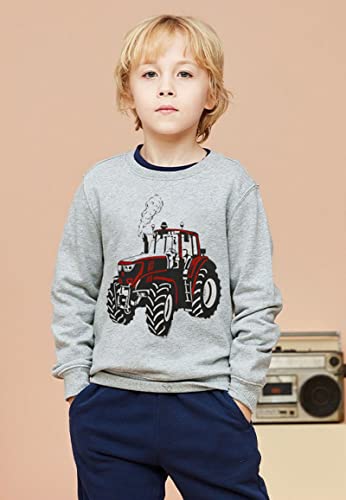 Akyzic Toddler Boys Sweatshirts Cotton Crewneck Truck Shirt Dinosaur Long Sleeve Pullover Tops Tees 2-8T