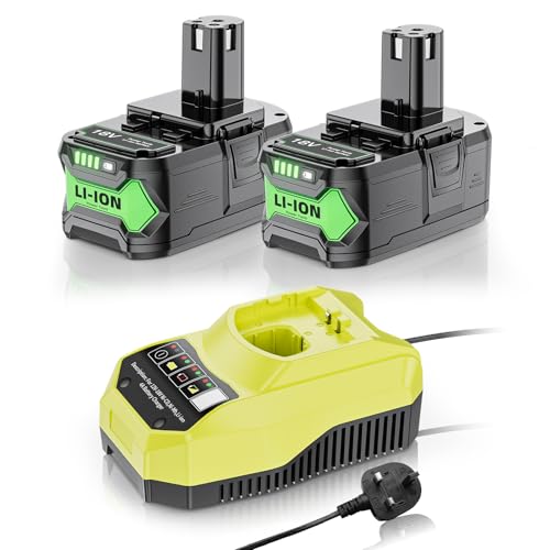 2X 6000mAh Replacement for Ryobi 18v Battery, P117 Battery Charger 4A for Ryobi 18v, P108 battery and charger Compatible with RB18L50 RB18L25 RB18L40 RB18L20 RB18L15 RB18L13 P107 P103 P104 P105 P106