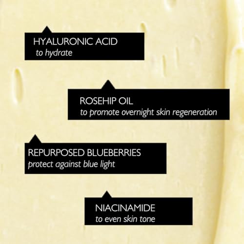 UPCIRCLE Crema de Noche con Ácido Hialurónico + Niacinamida, 55 mililitros | nutritivo, sin perfume para pieles sensibles, propiedades antienvejecimiento | vegano, libre de crueldad animal - imagen 4